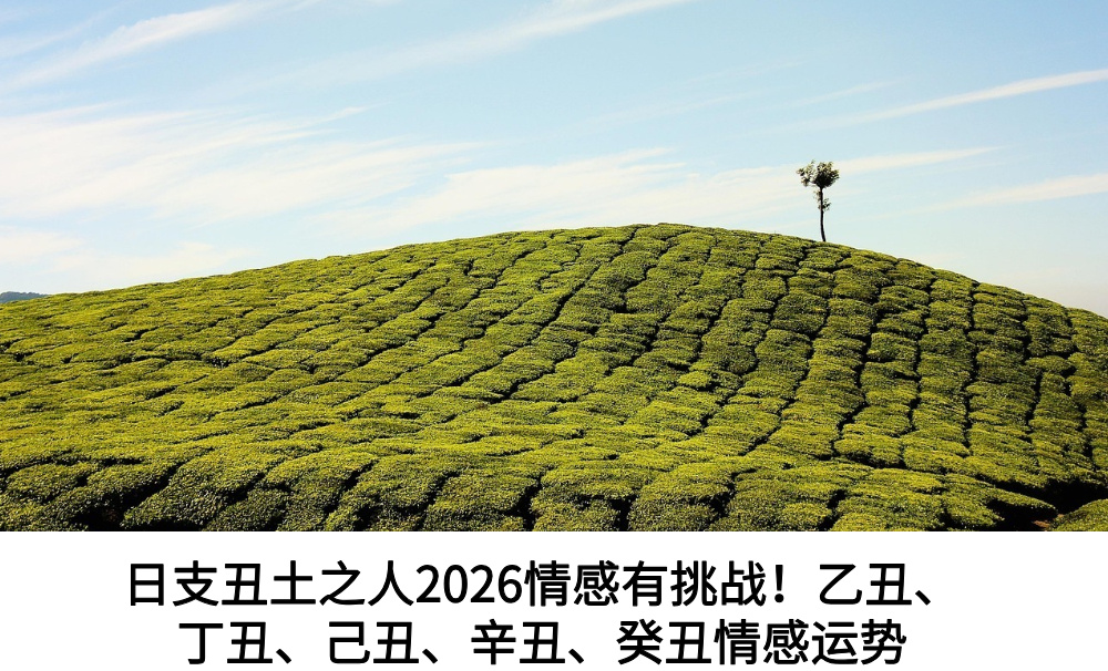 日支丑土之人2026情感有挑战！乙丑、丁丑、己丑、辛丑、癸丑情感运势