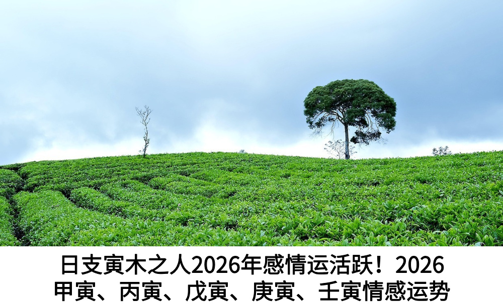 日支寅木之人2026年感情运活跃！2026甲寅、丙寅、戊寅、庚寅、壬寅情感运势