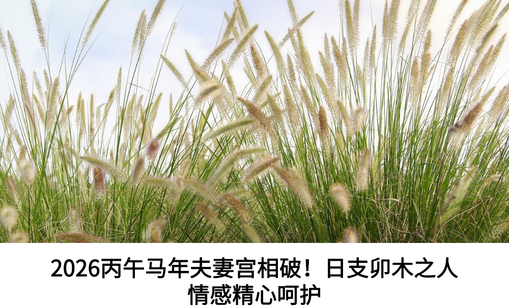 2026丙午马年夫妻宫相破！日支卯木之人情感精心呵护