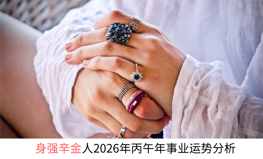 身强辛金人2026年丙午年事业运势分析