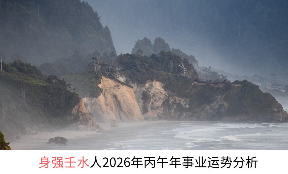 身强壬水人2026年丙午年事业运势分析