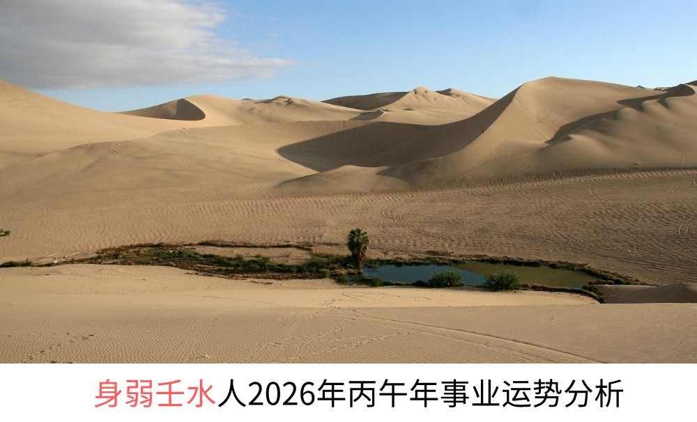 身弱壬水人2026年丙午年事业运势分析