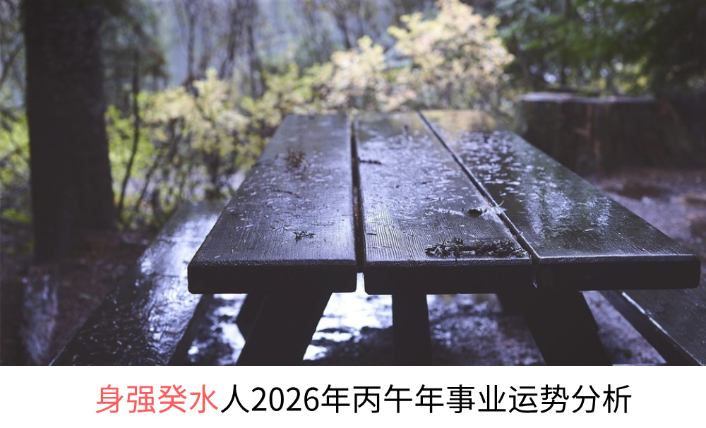 身强癸水人2026年丙午年事业运势分析
