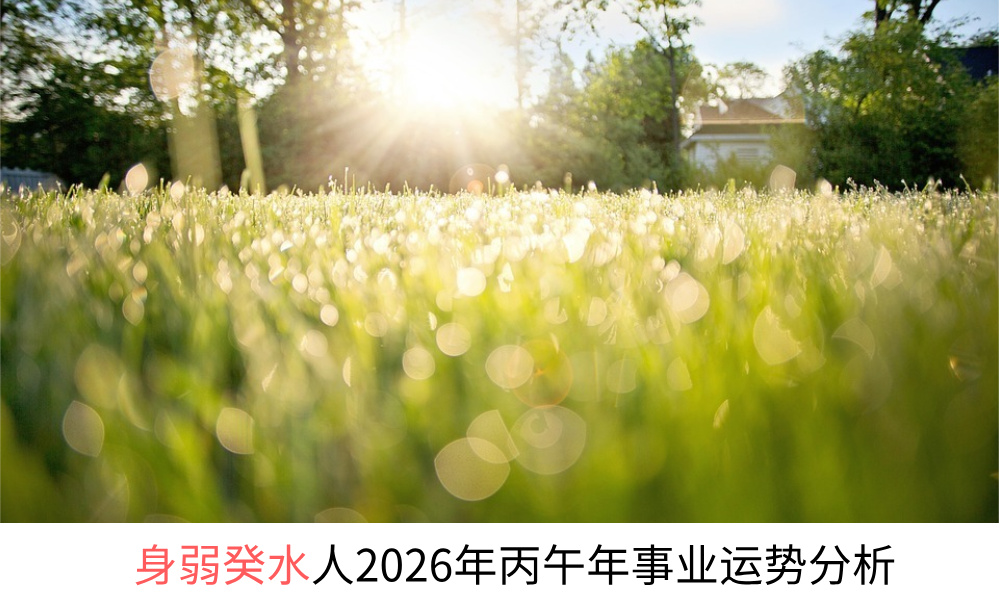 身弱癸水人2026年丙午年事业运势分析