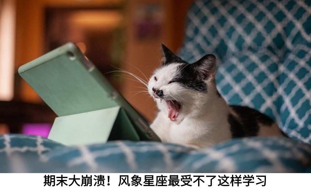 期末大崩溃！风象星座最受不了这样学