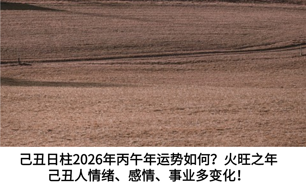 己丑日柱2026年丙午年运势如何？火旺之年己丑人情绪、感情、事业多变化！