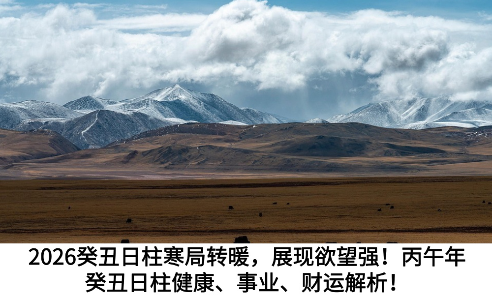 2026癸丑日柱寒局转暖，展现欲望强！丙午年癸丑日柱健康、事业、财运解析！