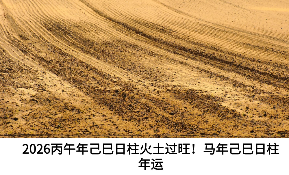 2026丙午年己巳日柱火土过旺！马年己巳日柱年运