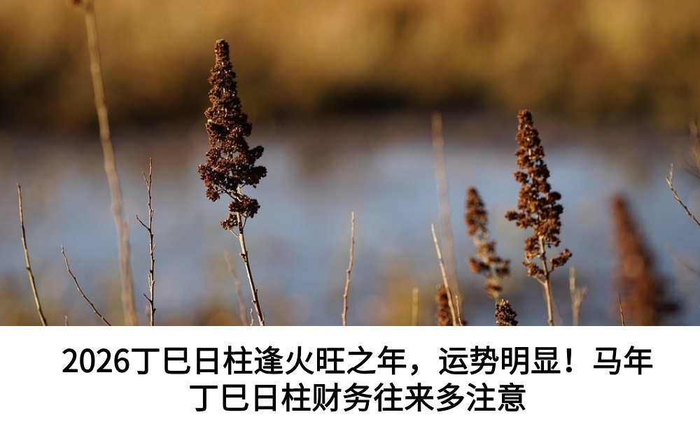 2026丁巳日柱逢火旺之年，运势明显！马年丁巳日柱财务往来多注意