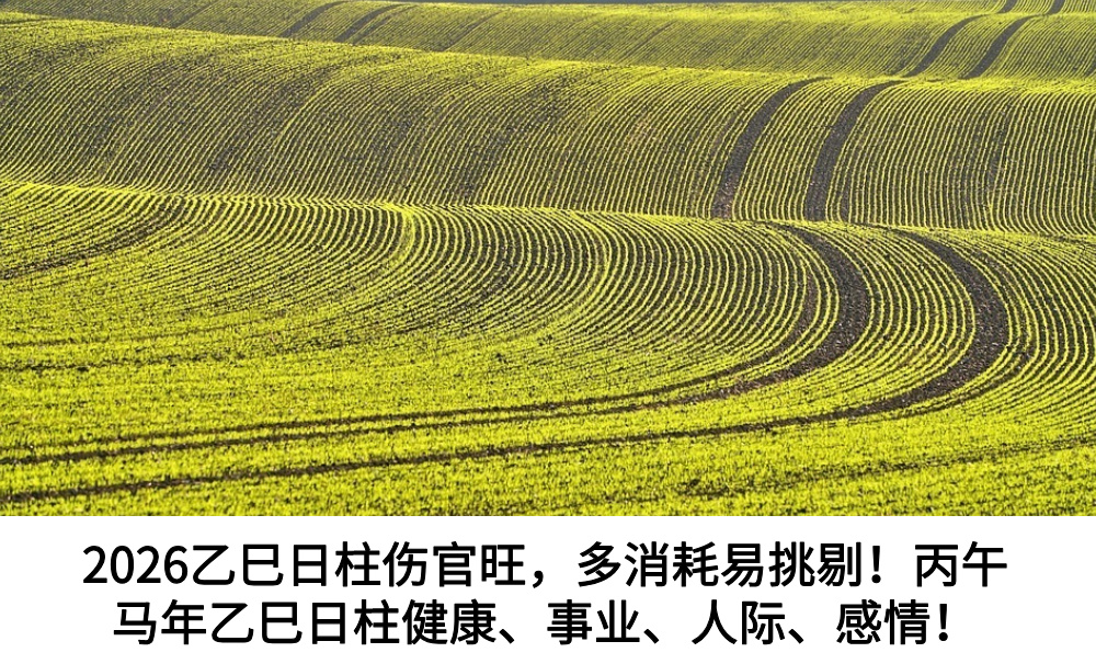 2026乙巳日柱伤官旺，多消耗易挑剔！丙午马年乙巳日柱健康、事业、人际、感情！