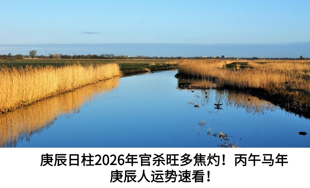 庚辰日柱2026年官杀旺多焦灼！丙午马年庚辰人运势速看！