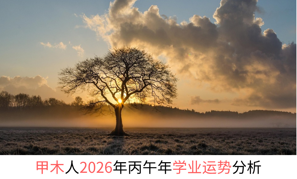甲木人2026年丙午年学业运势分析