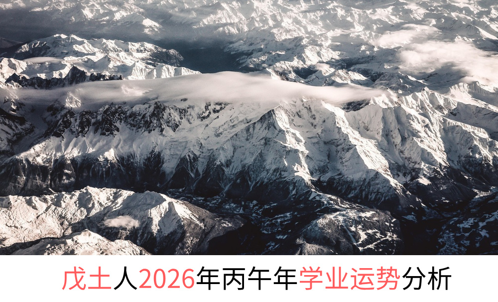 戊土人2026年丙午年学业运势分析
