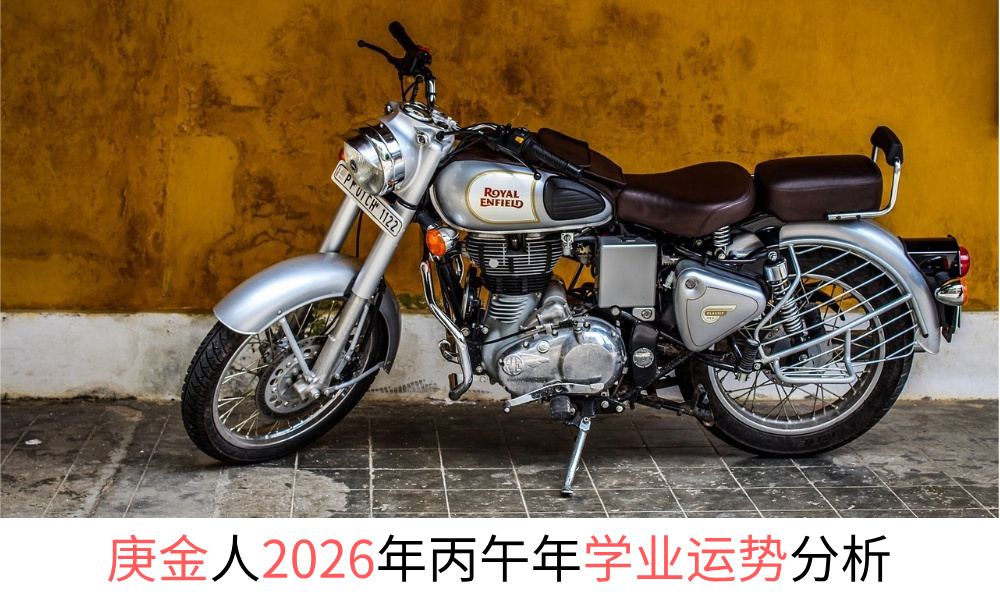 庚金人2026年丙午年学业运势分析