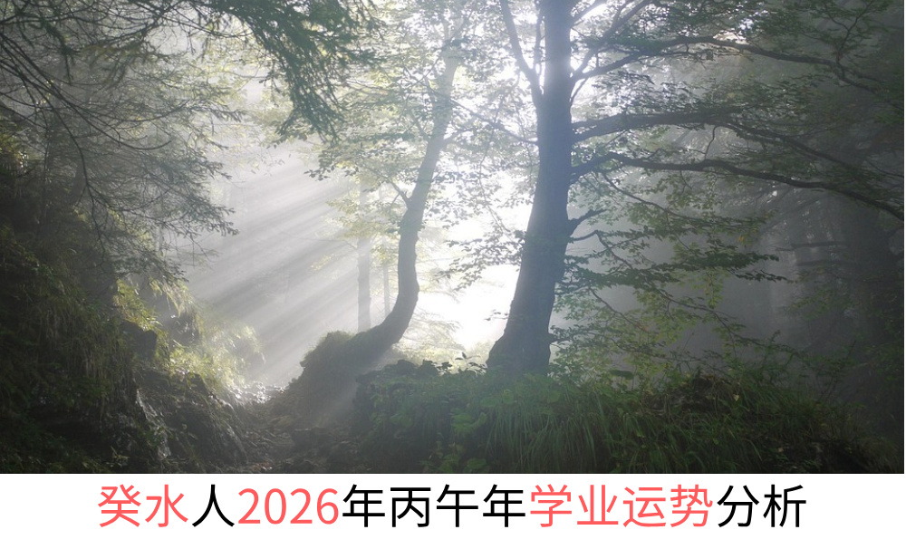 癸水人2026年丙午年学业运势分析