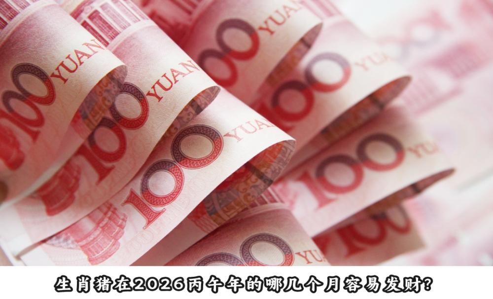 生肖猪在2026丙午年的哪几个月容易发财？