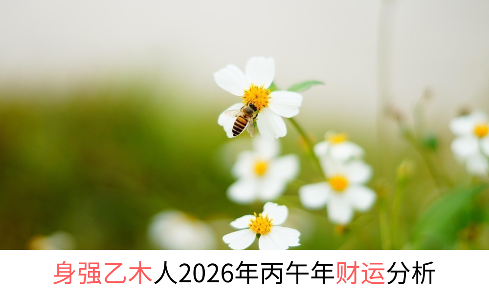 身强乙木人2026年丙午年财运分析