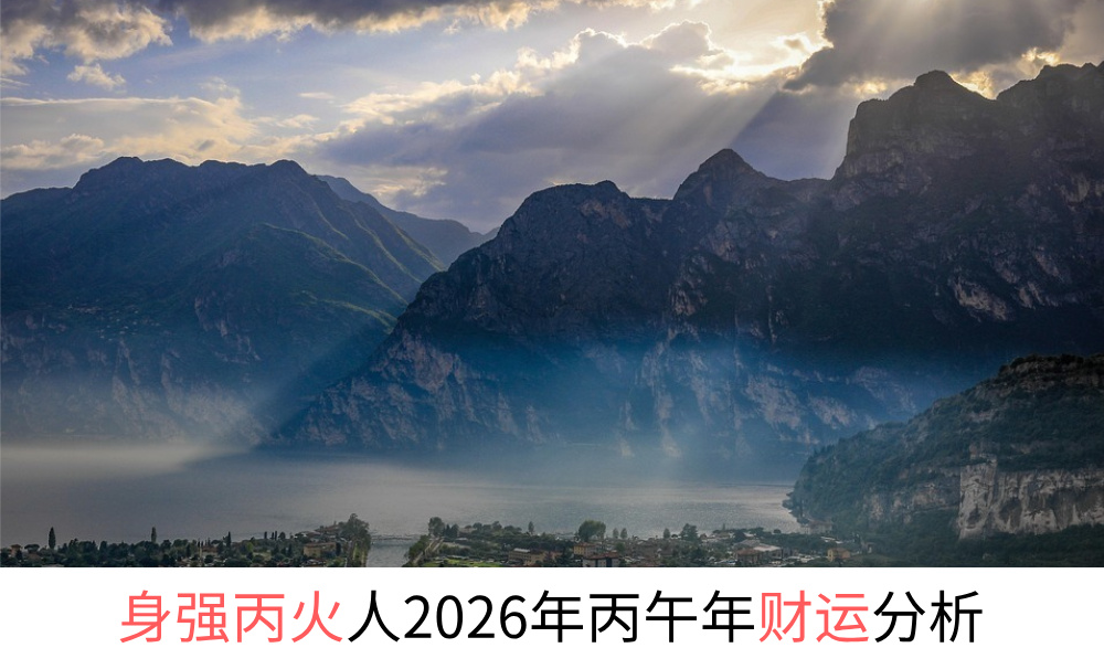 身弱乙木人2026年丙午年财运分析