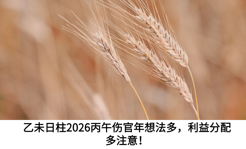 乙未日柱2026丙午伤官年想法多，利益分配多注意！