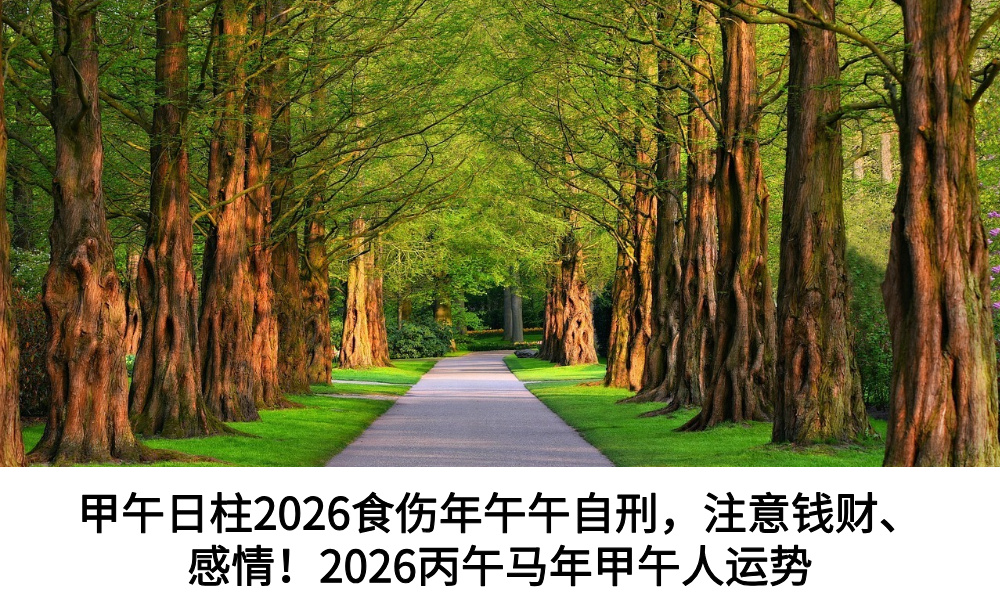 甲午日柱2026食伤年午午自刑，注意钱财、感情！2026丙午马年甲午人运势