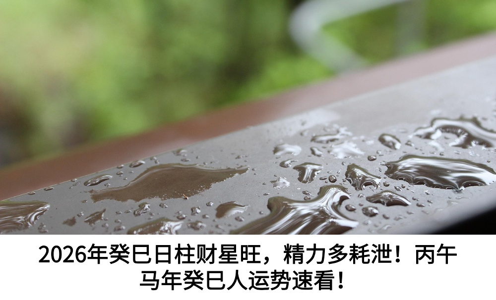 2026年癸巳日柱财星旺，精力多耗泄！丙午马年癸巳人运势速看！