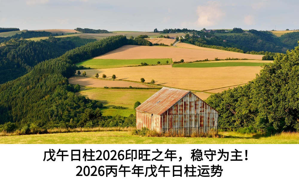 戊午日柱2026印旺之年，稳守为主！2026丙午年戊午日柱运势