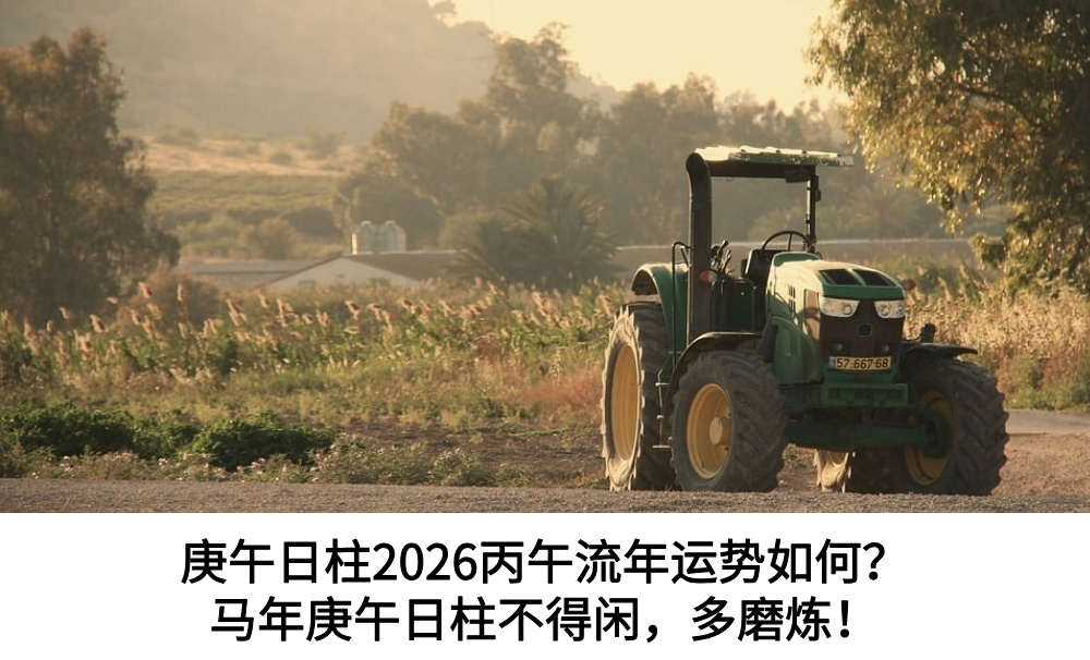 庚午日柱2026丙午流年运势如何？马年庚午日柱不得闲，多磨炼！