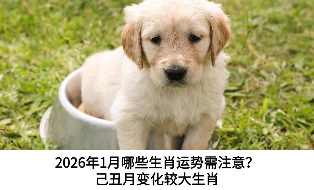 2026年1月哪些生肖运势需注意？己丑月变化较大生肖
