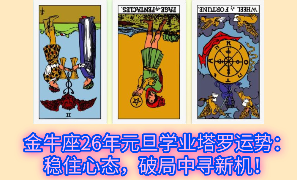 金牛座26年元旦学业塔罗运势：稳住心态，破局中寻新机！
