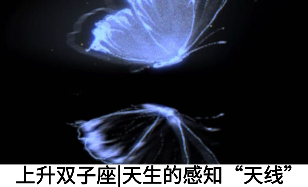 上升双子座|天生的感知&ldquo;天线&rdquo;