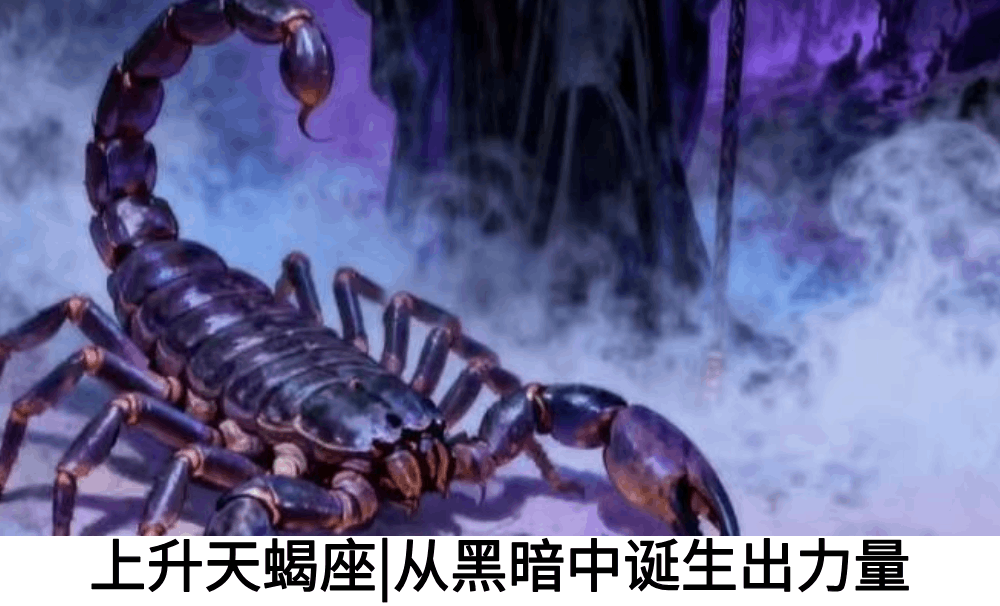 上升天蝎座|从黑暗中诞生出力量