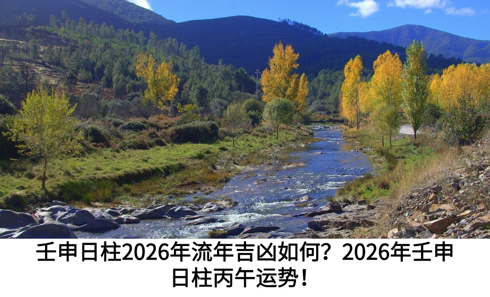 壬申日柱2026年流年吉凶如何？2026年壬申日柱丙午运势！