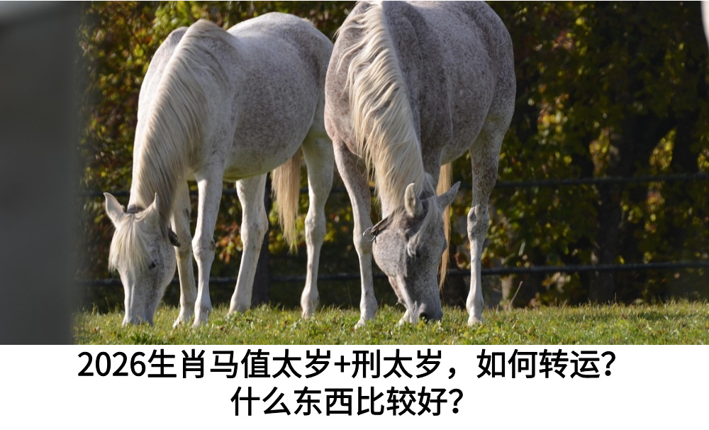 2026生肖马值太岁+刑太岁，如何转运？什么东西比较好？