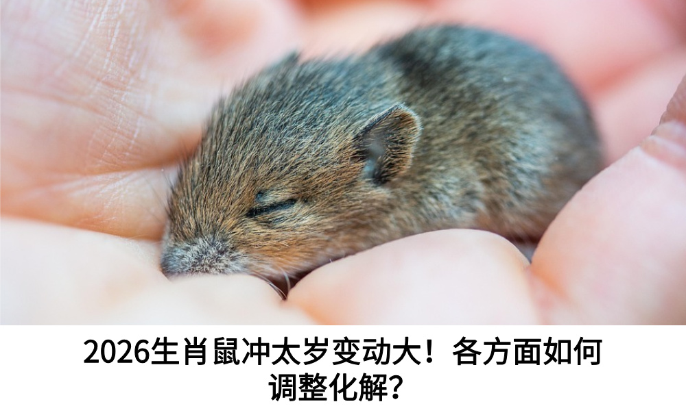 2026生肖鼠冲太岁变动大！各方面如何调整化解？