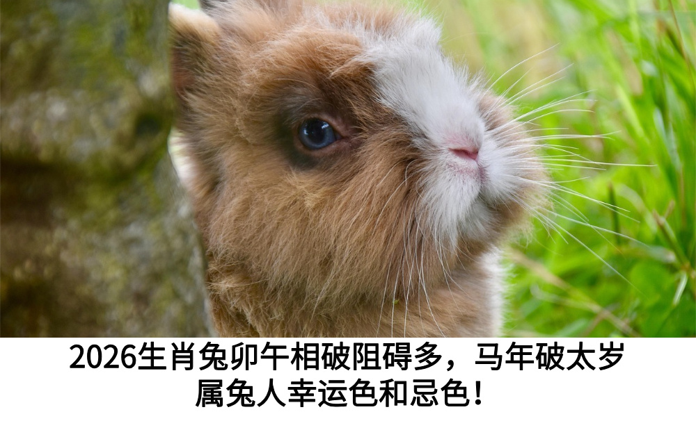 2026生肖兔卯午相破阻碍多，马年破太岁属兔人幸运色和忌色！