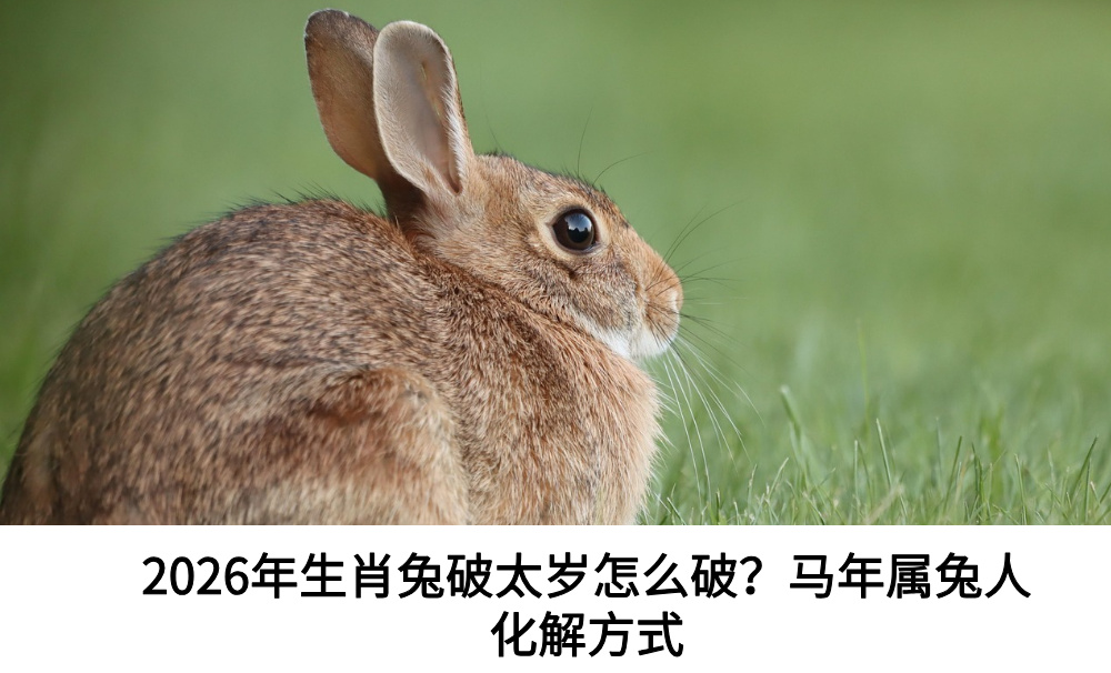 2026年生肖兔破太岁怎么破？马年属兔人化解方式