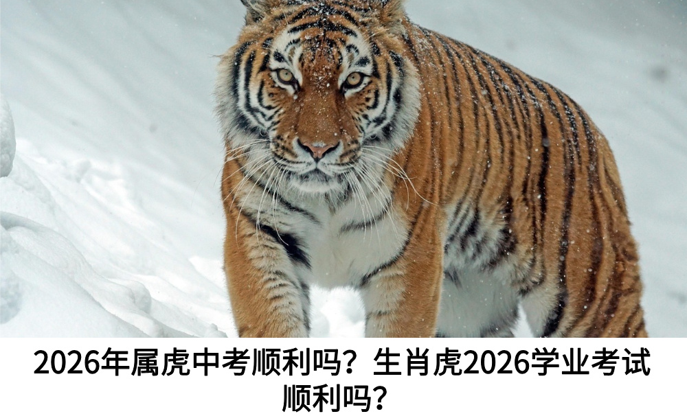 2026年属虎中考顺利吗？生肖虎2026学业考试顺利吗？