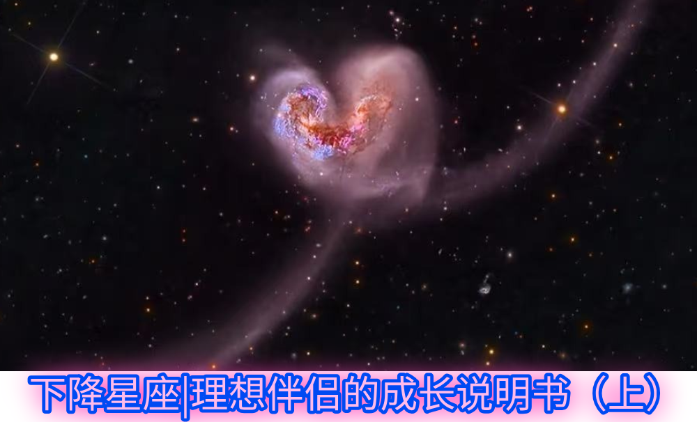 下降星座|理想伴侣的成长说明书（上）