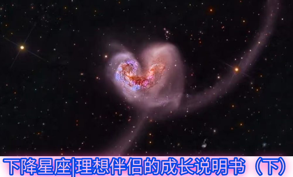 下降星座|理想伴侣的成长说明书（下）