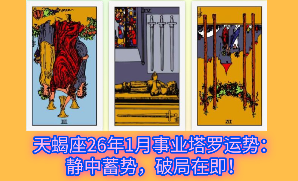 天蝎座26年1月事业塔罗运势：静中蓄势，破局在即！