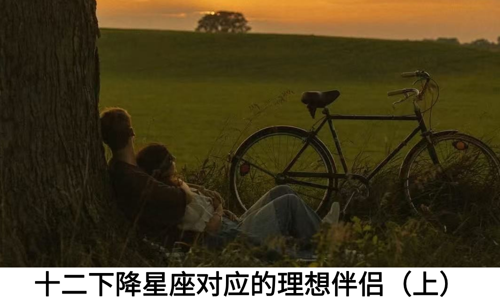 十二下降星座对应的理想伴侣（上）