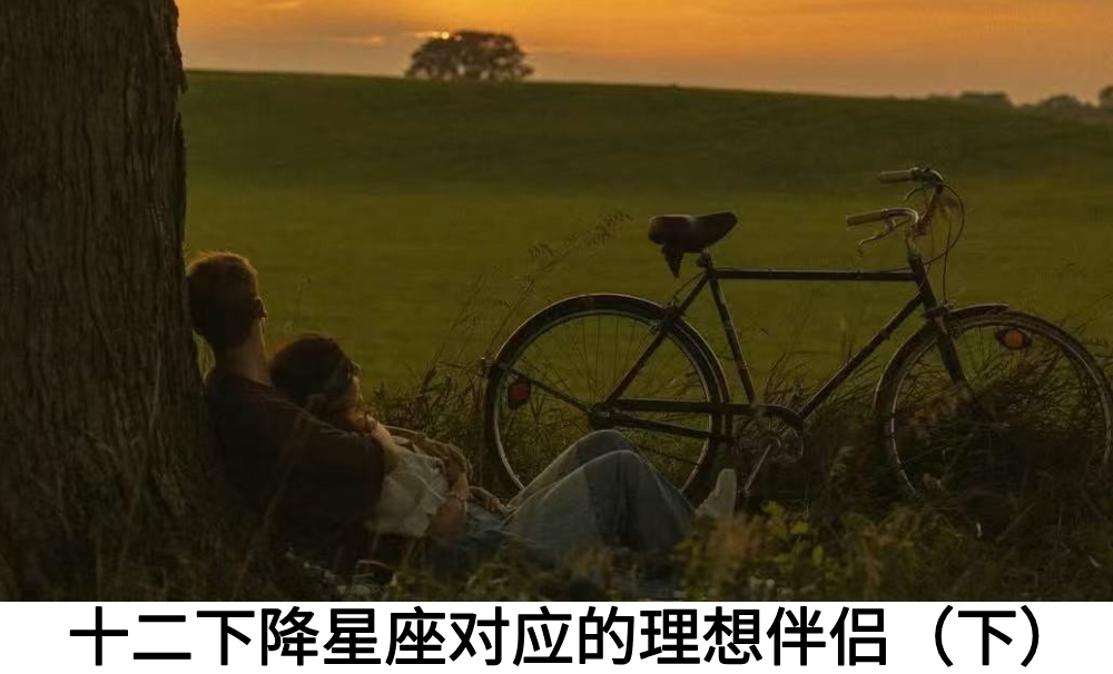 十二下降星座对应的理想伴侣（下）