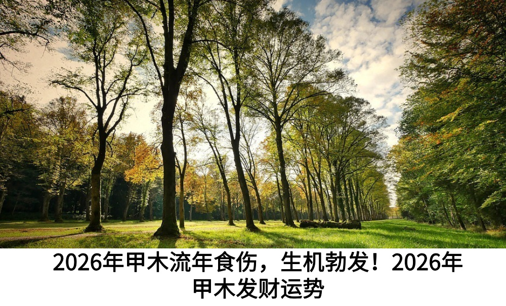 2026年甲木流年食伤,生机勃发!2026年甲木发财运势