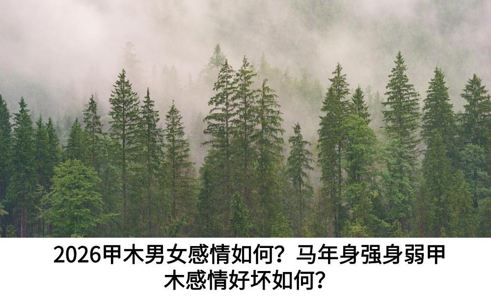 2026甲木男女感情如何？马年身强身弱甲木感情好坏如何？