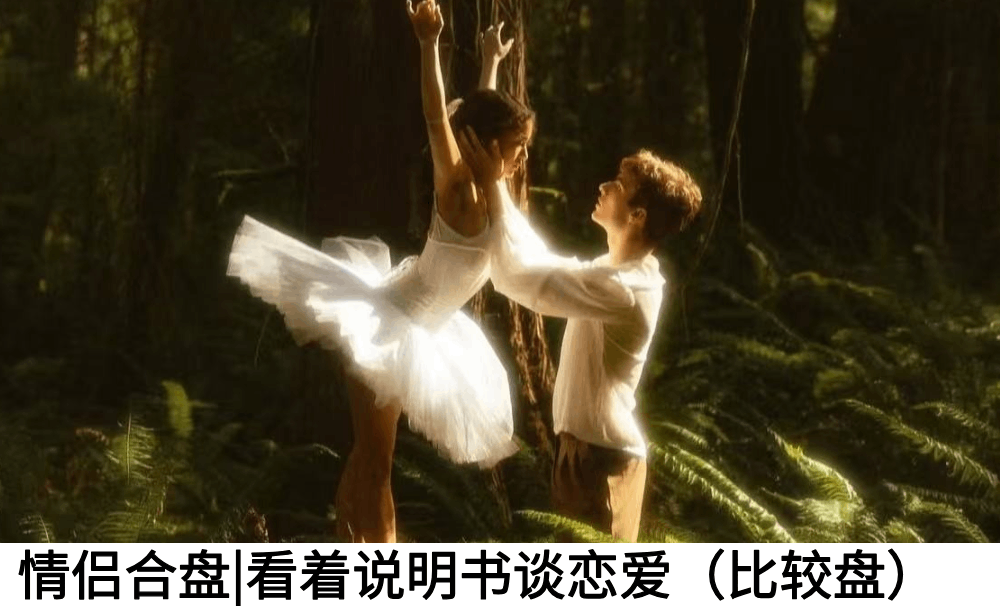 情侣合盘|看着说明书谈恋爱（比较盘）