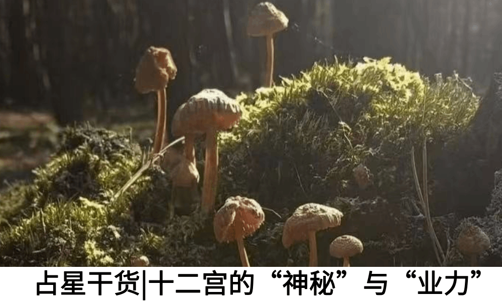 占星干货|十二宫的&ldquo;神秘&rdquo;与&ldquo;业力&rdquo;