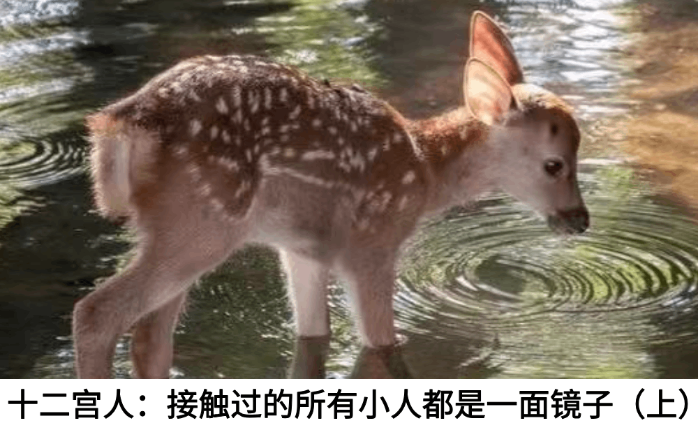 十二宫人：接触过的所有小人都是一面镜子（上）