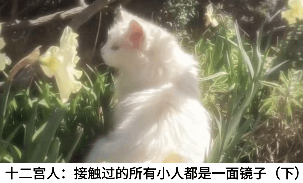 十二宫人：接触过的所有小人都是一面镜子（下）