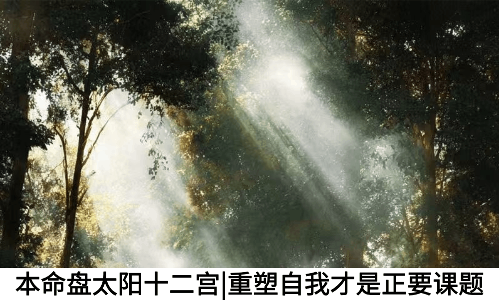 本命盘太阳十二宫|重塑自我才是正要课题