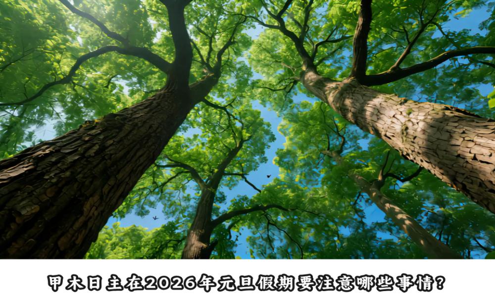 甲木日主在2026年元旦假期要注意哪些事情？